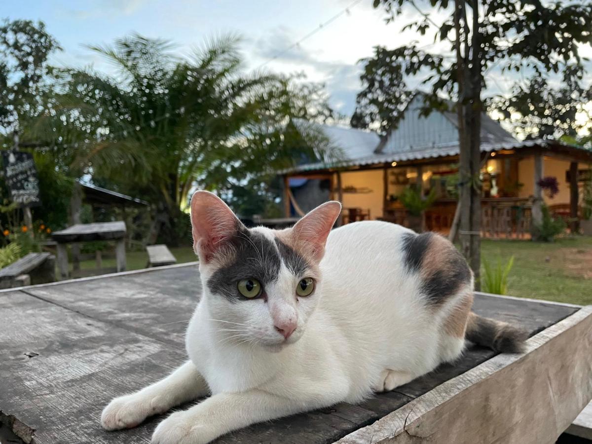 Monsonkeang View ม่อนสันเกี๋ยง Campsite